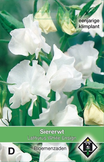 Sweet pea White Ensign (Lathyrus odoratus) 55 seeds